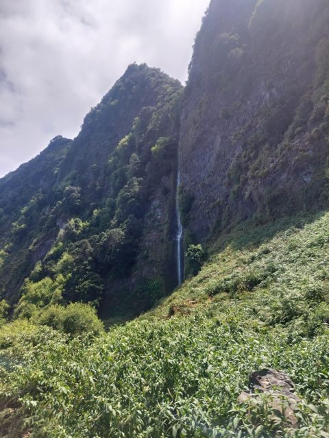 Madeira West Safari - The natural lava pools of Porto Moniz - Porto Moniz lava pools: lunch with a natural reason to linger