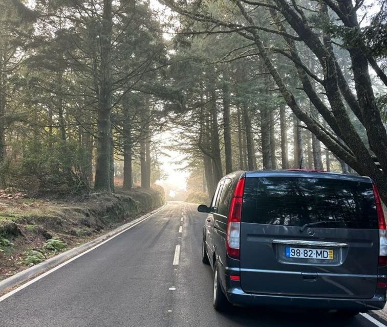 Madeira: Western Madeira Guided Trip & Fanal Mystic Forest - Ribeira da Janela and Seixal: coastline views with real drama