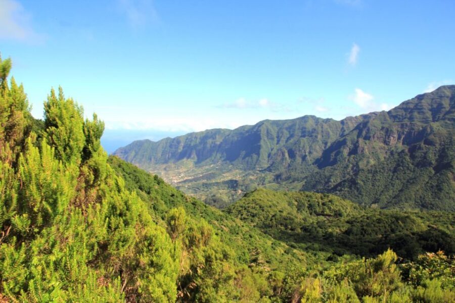 Madeira: Wine Safari Jeep Tour with Local Guide - Price and Logistics: Is It Worth $79?