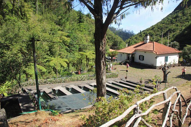 Magnificent East Tour - Balcões de Ribeiro Frio: forest air and trout-farm vibes