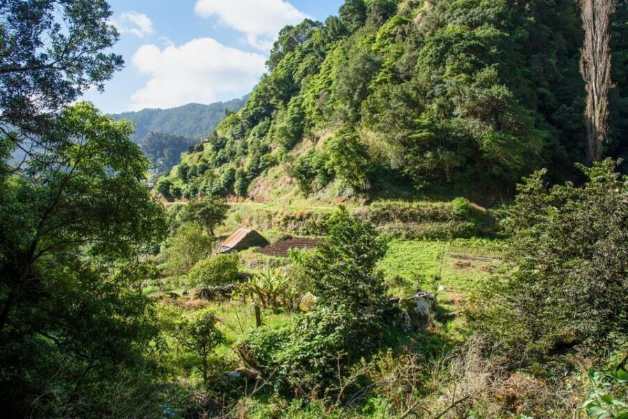 Maroços Madeira Island Levada Walk - The Mimosa Valley walk: what it feels like on the ground
