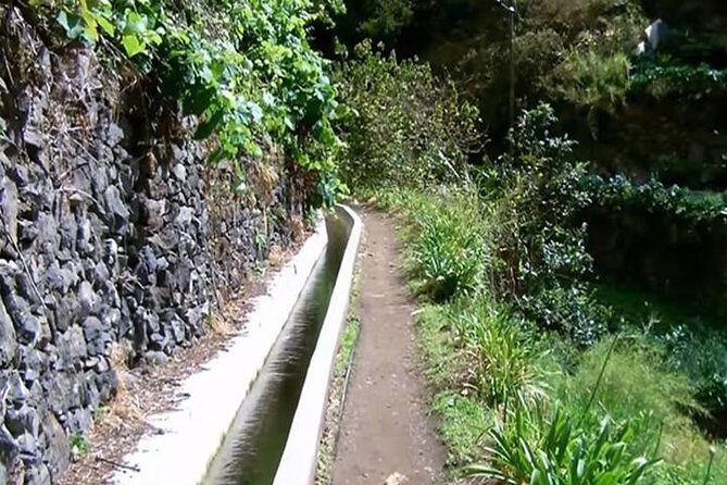 Mimosa Valley Walk - Key Highlights You’ll Care About