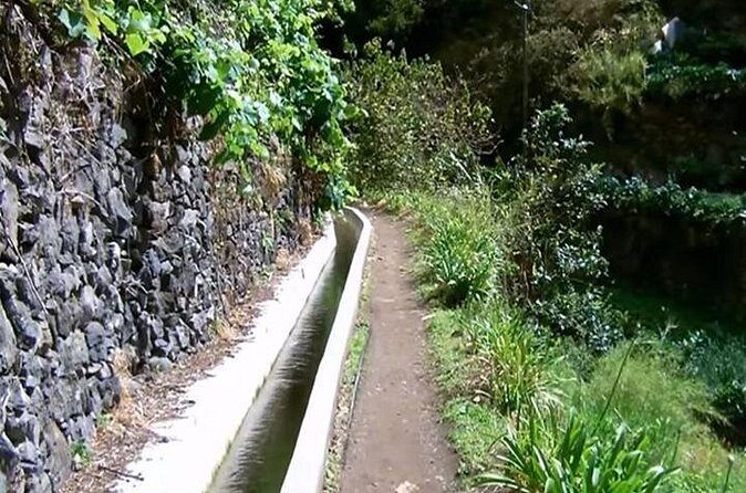 Mimosa Valley Walk - Views Over Machico and the Southern East Coast (Timing and Conditions)