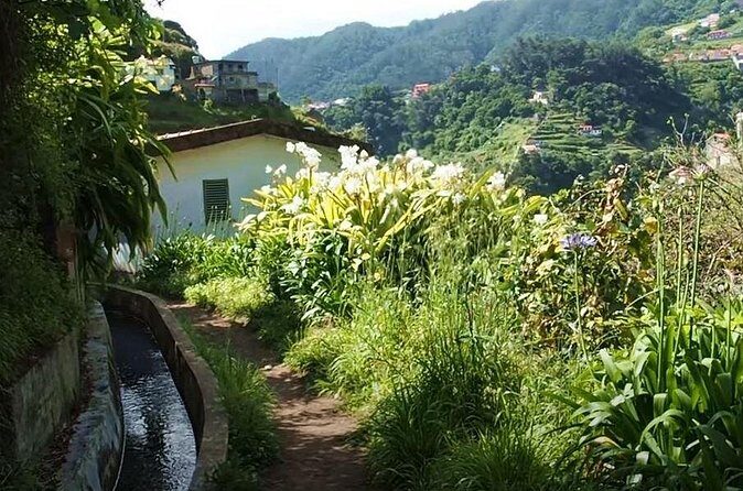 Mimosa Valley Walk - Getting the Most Out of the Morning Walk