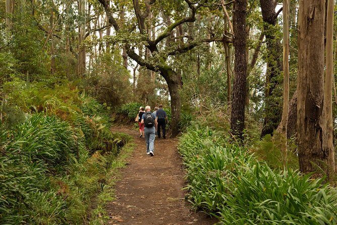 Mini -Combo East Challenge (Jeep & Levada Walk)- Shared Tour - Camacha levada walk: the short guided section you’ll remember