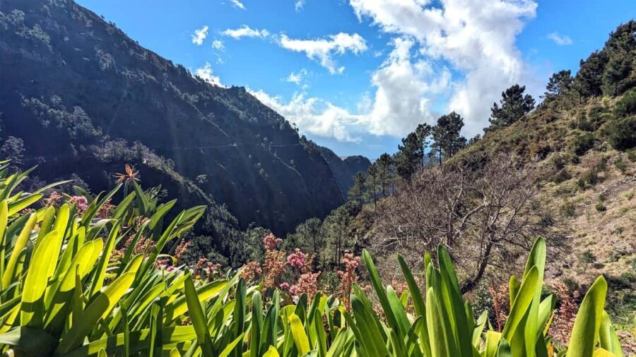 Mountain Wonders: Nuns Valley Half-day Private Jeep - Curral das Freiras, the Nuns Valley (about 1 hour): history plus local flavor time