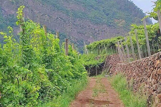 North Tour & Wine Tasting - 4x4 (Small Groups) - Stop 4: Porto da Cruz (a second quick look, about 20 minutes)