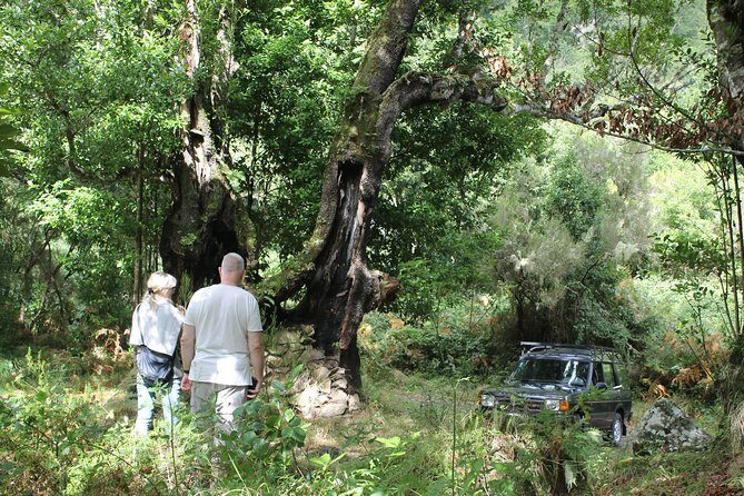 North Tour & Wine Tasting - 4x4 (Small Groups) - Stop 6: A brief “Ilha” crossing and continuity stop (10 minutes)