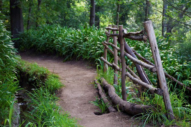Paradise Valley Beauty Walk - A 4-Hour Levada Walk From Vale do Paraíso to Rochão