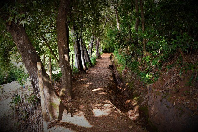 Paradise Valley Beauty Walk - Pace, Pickup, and Small Groups: Why This One Feels Manageable