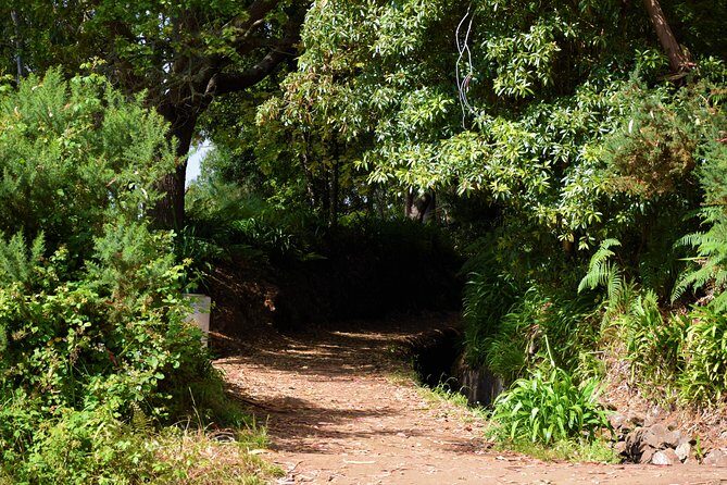 Paradise Valley Beauty Walk - Who Should Book This Walk (And Who Might Skip It)