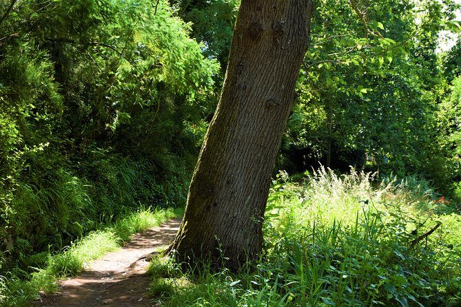 Paradise Valley Beauty Walk - Should You Book the Paradise Valley Beauty Walk?