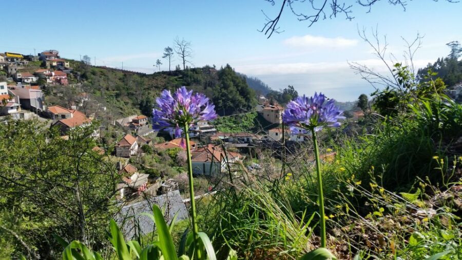 Paradise Valley half-day morning walk. - Walking the levada: where the education becomes noticeable