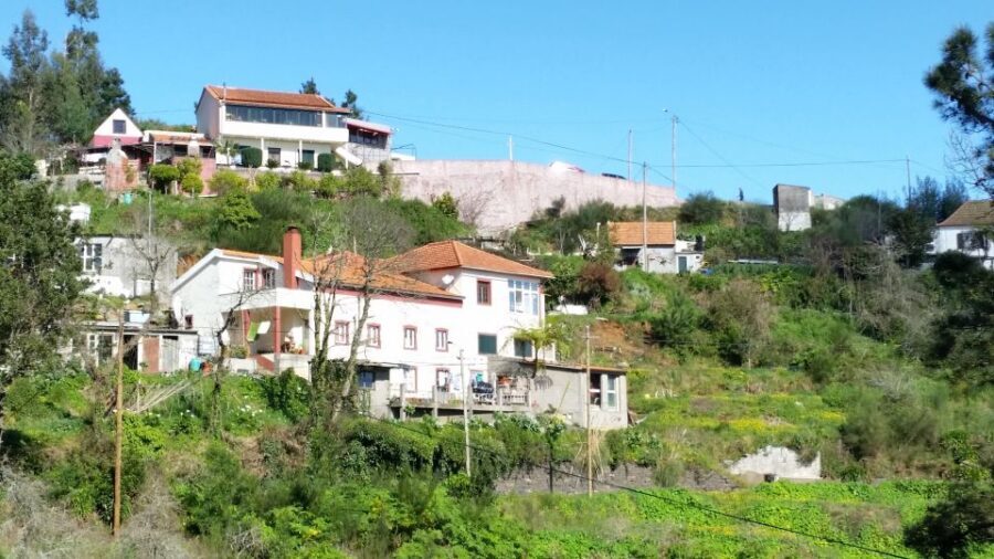 Paradise Valley half-day morning walk. - Camacha Village views: your payoff moment