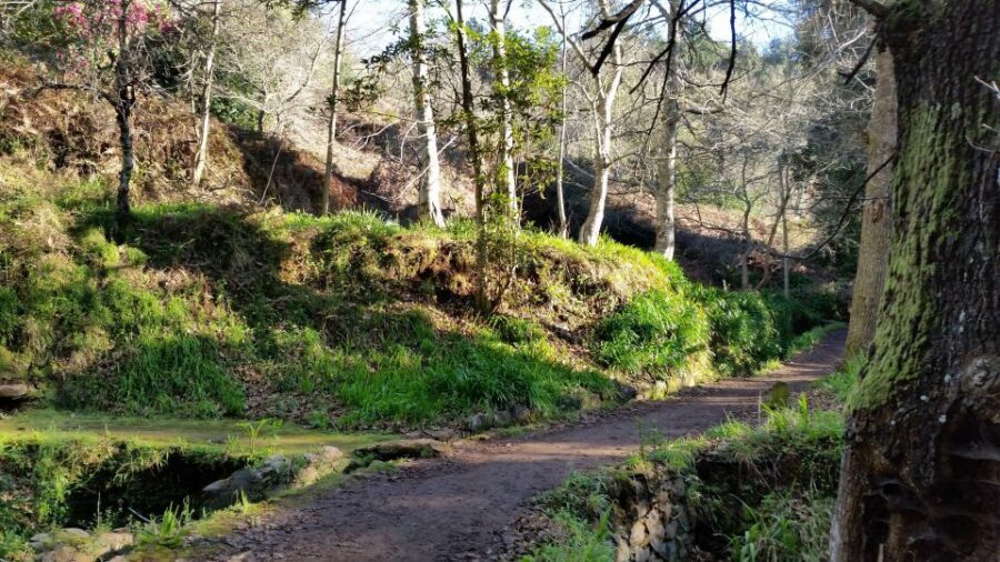 Paradise Valley half-day morning walk. - Getting to the trail: pickup areas and why timing matters