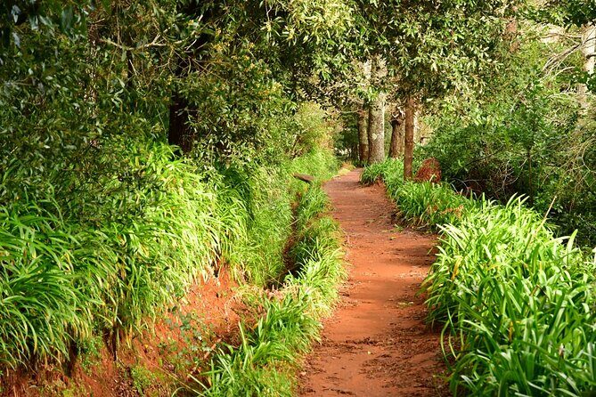 Paradise Valley Madeira Island Walk - Quick hits on this Paradise Valley Madeira levada walk