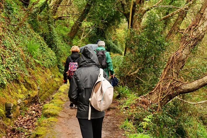 Paradise Valley Madeira Island Walk - Where Paradise Valley fits into Madeira (and why this walk works)