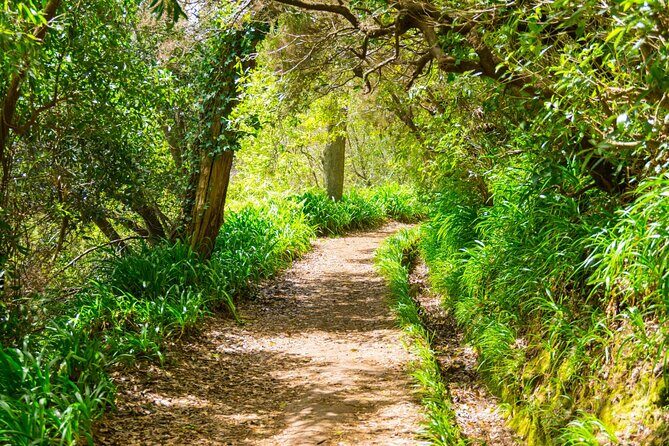 Paradise Valley Madeira Island Walk - The walk itself: Serra do Faial levada path to Vale Paraíso