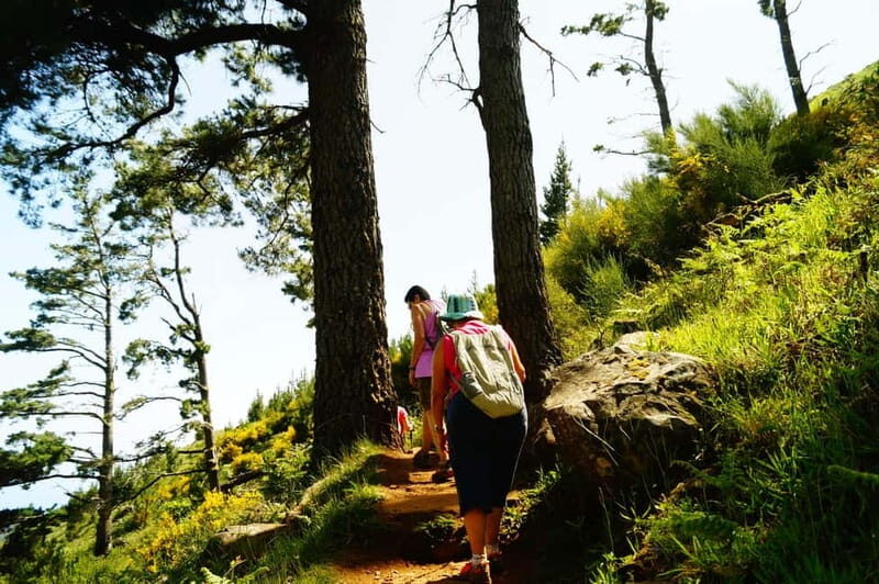 Pico do Arieiro - Stairway to Heaven Hike - Sunrise Option - Practical tips to get the most out of your hike