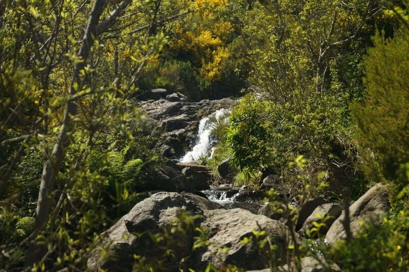 Pico do Arieiro - Stairway to Heaven Hike - Sunrise Option - What the hike feels like on your body