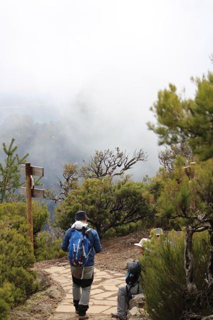 Private - Gastro Hike with Levada Walk and Local Food - Key things that make this tour worth your time