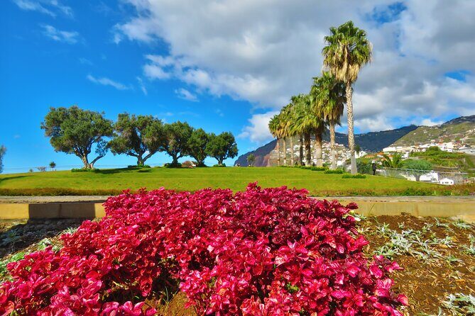Private Half-Day Morning 4x4 Tour from Funchal - Why this half-day 4x4 morning from Funchal feels like a win