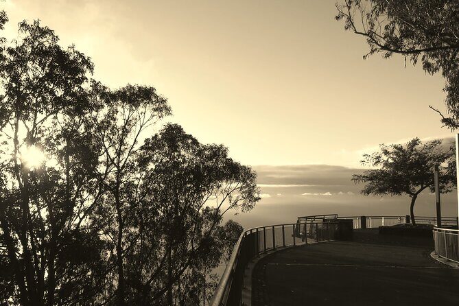 Private Half-Day Morning 4x4 Tour from Funchal - Boca da Corrida at about 1,000 meters: big-valley views with trail context