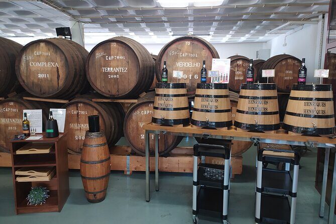 Private Half-Day Tour of Wine Fields in Portugal - Who should book this tour (and who might skip it)