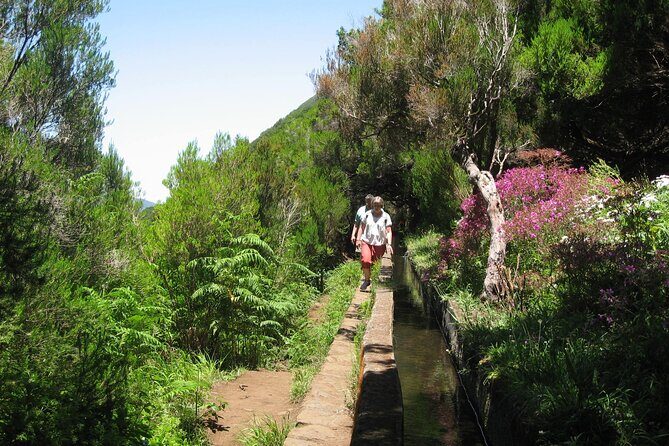 Private Madeira tour 8 people - Private for up to 8: why it feels calmer than “tour-bus Madeira”