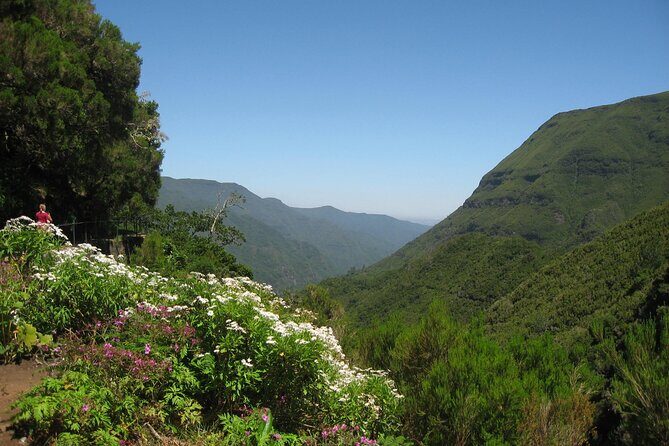 Private Madeira tour 8 people - Pace, comfort, and group size: what works best for families and friends