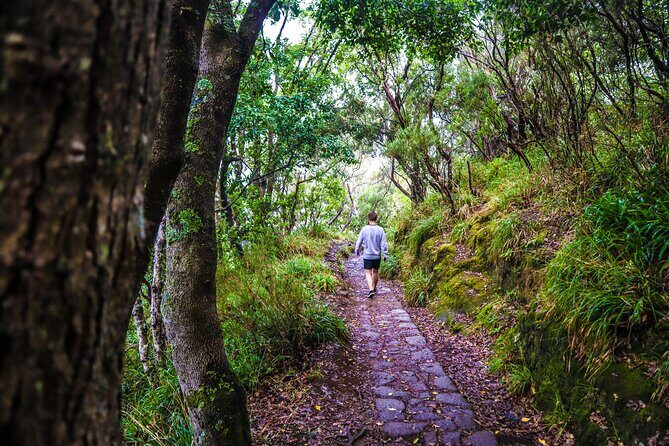 Private Sunrise Pico do Areeiro Half Day with easy levada walk - Two Balcões stops: how the itinerary keeps it doable