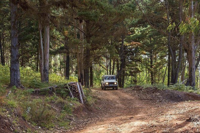 Private Tour: Nun's Valley & Sea Cliff - Half Day Jeep Tour - Pickup in Madeira: how to avoid the first stress of the day