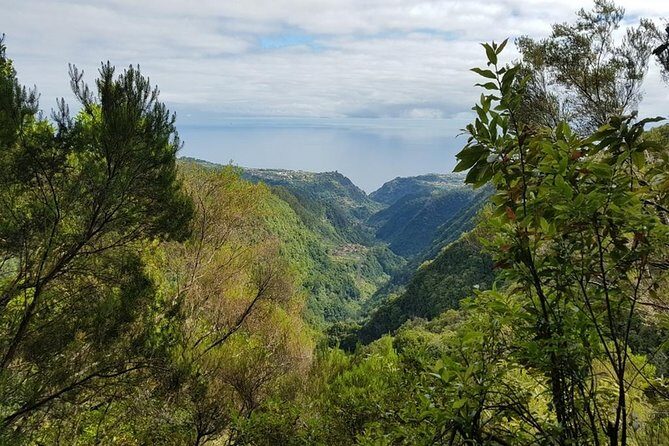 Private Tour The Biosphere Santana - The Quinta do Furão waterfall stop: why this one hits