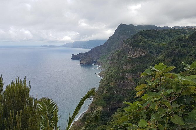 Private Tour The Biosphere Santana - Stop 1 in Santana: UNESCO Biosphere time in a working parish