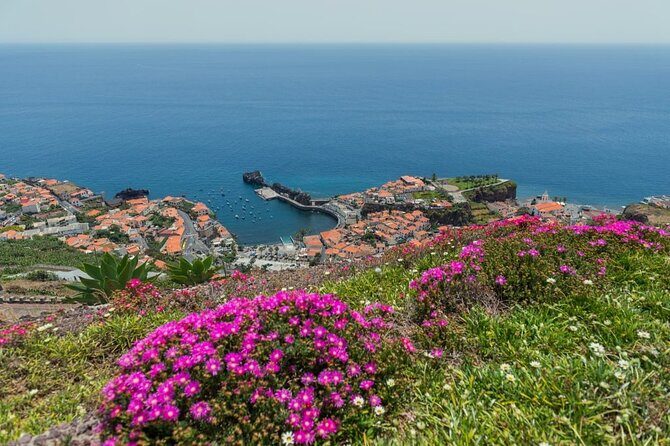 Private Tuk Tuk Tour on Câmara de Lobos, Fishing Village - Key highlights to look forward to