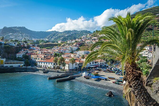 Private Tuk Tuk Tour on Câmara de Lobos, Fishing Village - Starting at Lido’s New Town: convenient, scenic, and beach-close