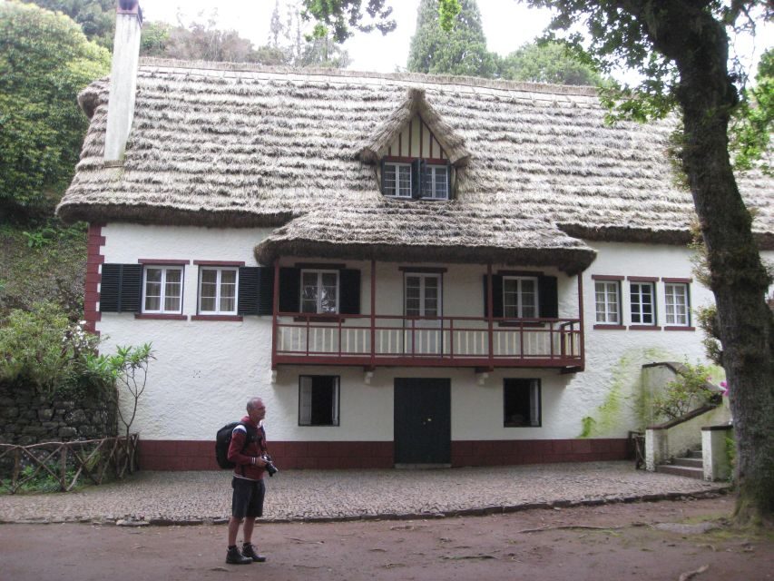 Queimadas Caldeirao Verde Full day hike - Entering The Laurissilva: Starting at Queimadas