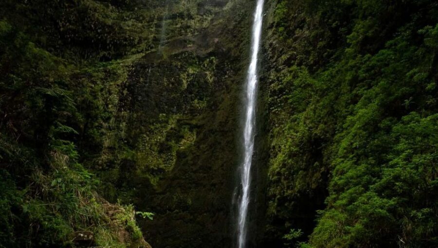 Queimadas Caldeirao Verde Full day hike - Weather, Humidity, and What to Pack for Real Grip