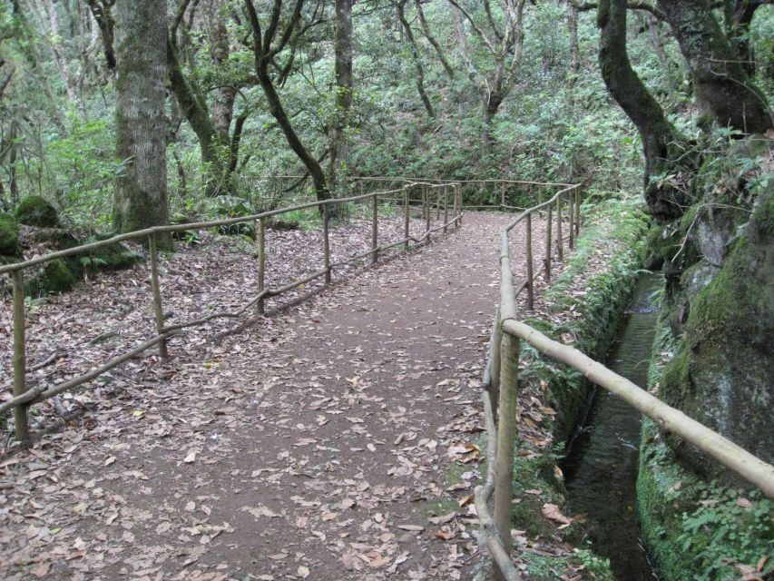Queimadas Caldeirao Verde Full day hike - Who Should Book This Caldeirão Verde Hike