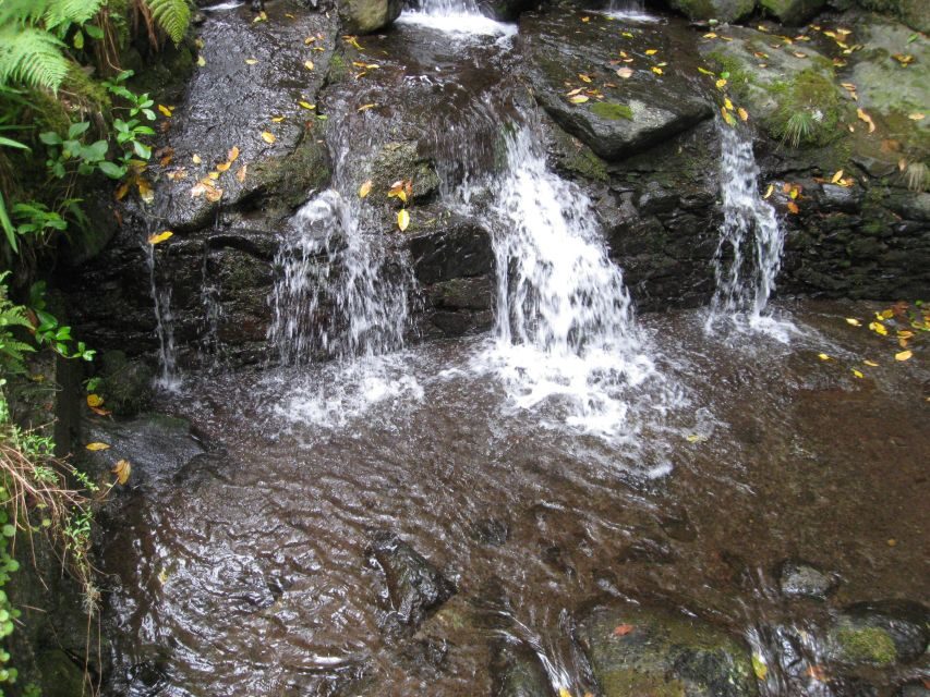 Queimadas Caldeirao Verde Full day hike - Is It Good Value on Madeira? Yes, If You Want the Right Kind of Day