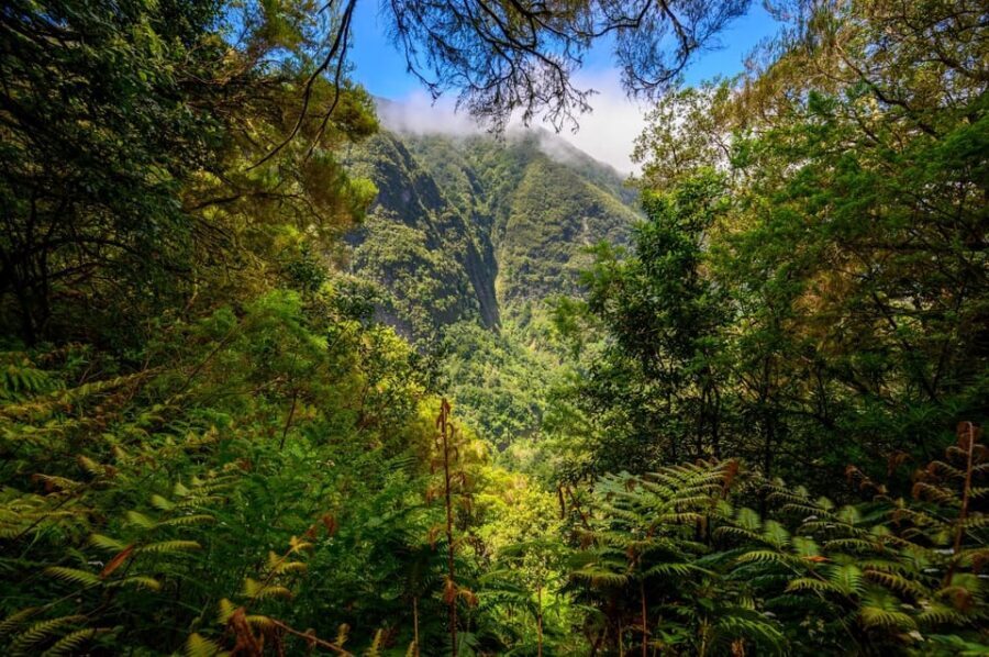 Queimadas Caldeirão Verde Madeira Island Walk - Walking Madeira’s UNESCO Laurisilva: the real point of this hike