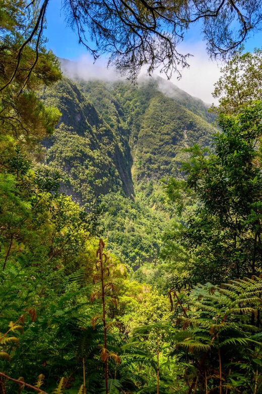 Queimadas Caldeirão Verde Madeira Island Walk - Van to the trail: why the long ride can be part of the value