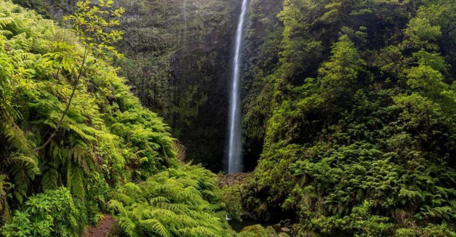 Queimadas Caldeirão Verde Madeira Island Walk - Price and value: how $45 holds up on Madeira