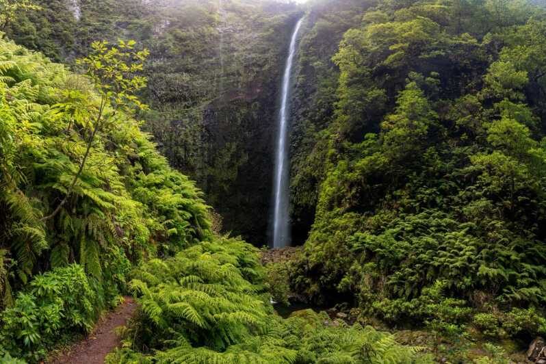 Queimadas Caldeirão Verde Madeira Island Walk - The 8-hour schedule, broken into human-sized chunks