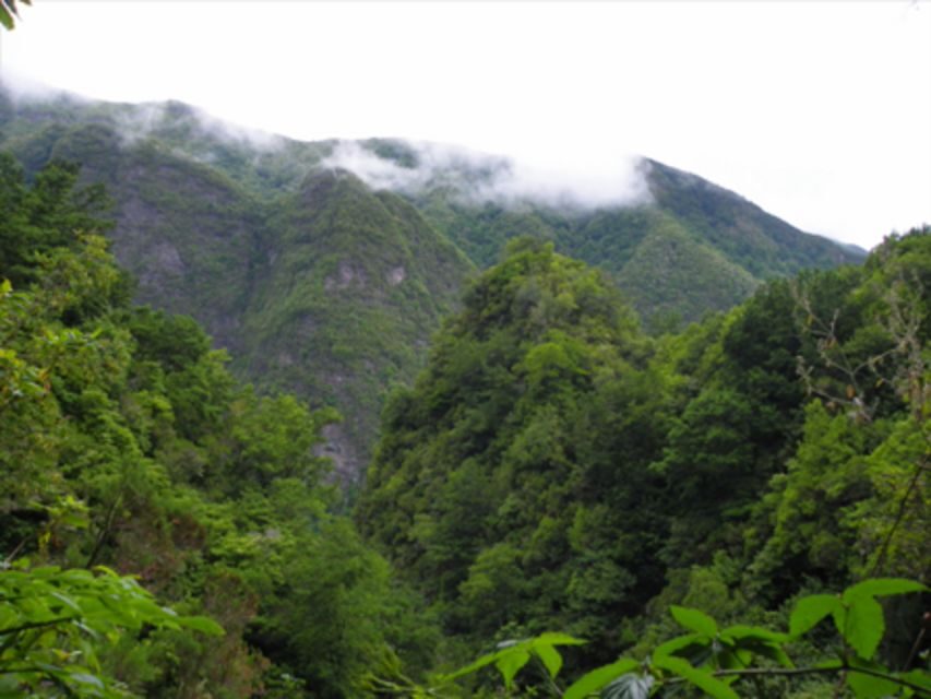 Queimadas Caldeirão Verde Walking tour with guide - The Big Payoff: Caldeirão Verde Lagoon and Waterfall