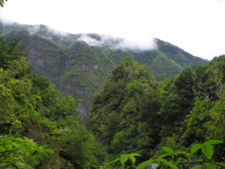 Queimadas Caldeirão Verde Walking tour with guide - Tunnels, Streams, and Waterfall Moments Along the Route