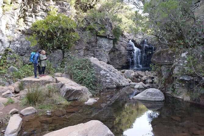 Rabaçal Hiking Tour - What You’ll Actually See: Endemic Plants and Birdlife in Action