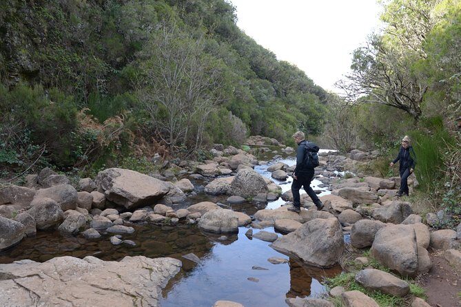Rabaçal Hiking Tour - The Main Event: Walking Levada das 25 Fontes Through Laurissilva