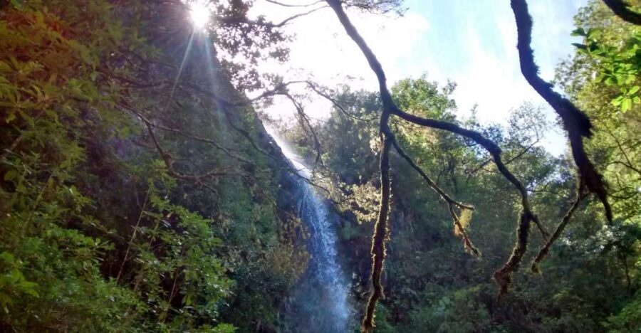 Rabaçal: Lagoa do Vento, Levada Risco and Levada 25 Fontes - Key highlights worth marking on your map