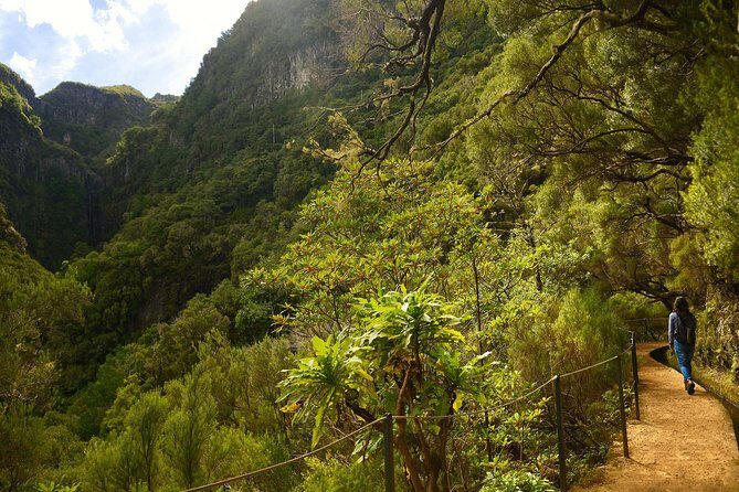 Rabaçal - Levada das 25 Fontes - Levada do Risco and the 800m tunnel: plan for wet darkness